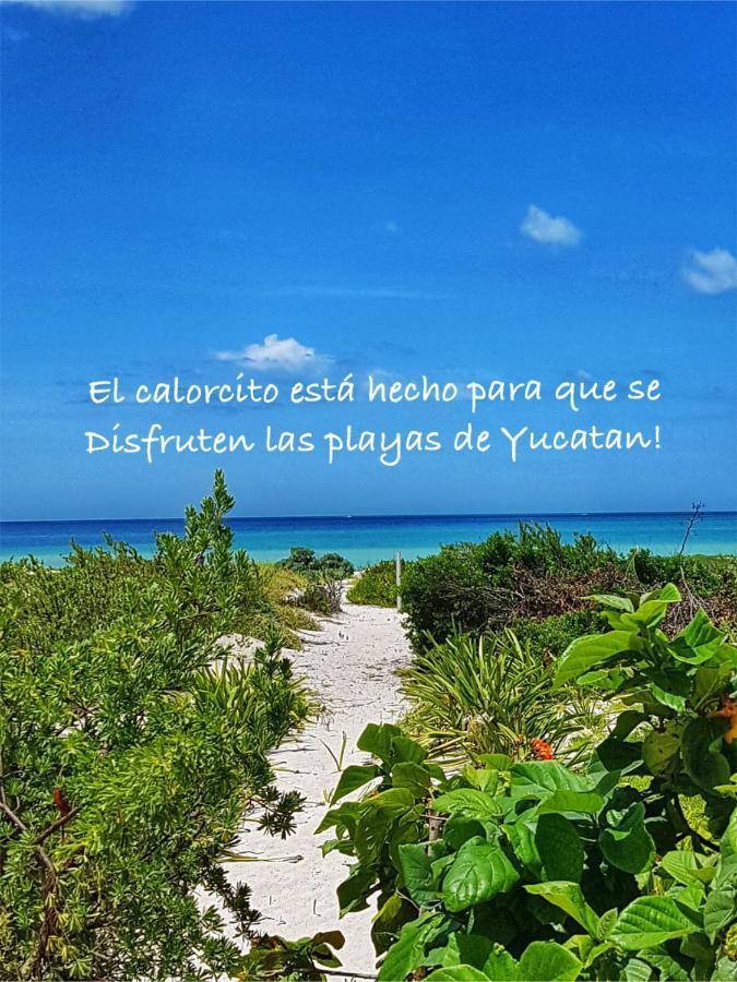 La Casa Del Mangle Villa Pueblo Pueblo Chicxulub Exteriör bild