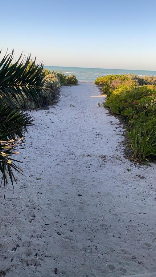 La Casa Del Mangle Villa Pueblo Pueblo Chicxulub Exteriör bild