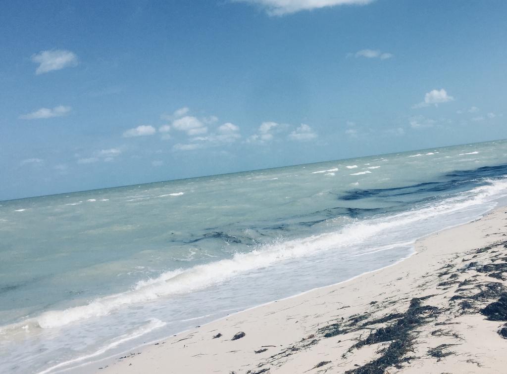 La Casa Del Mangle Villa Pueblo Pueblo Chicxulub Exteriör bild