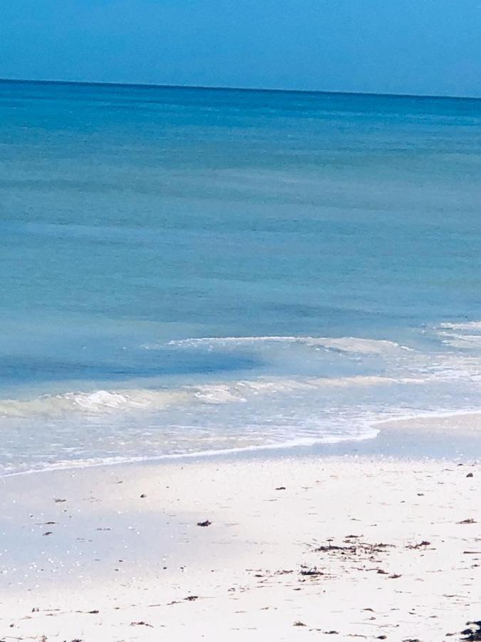 La Casa Del Mangle Villa Pueblo Pueblo Chicxulub Exteriör bild